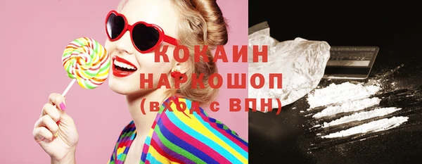 Альфа ПВП Верея