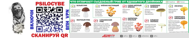 Галлюциногенные грибы Psilocybine cubensis  Лянтор 